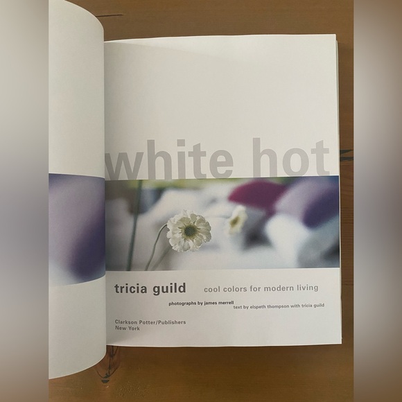White Hot: cool colors for modern living by Elspeth Thompson & Tricia Guild - Picture 4 of 10
